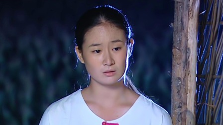乡村爱情 第1部 27集