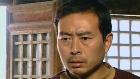 枣树湾 12集