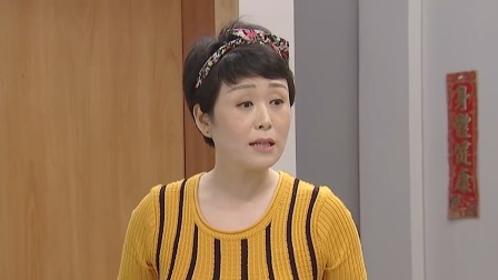 外来媳妇本地郎第十六部 9集
