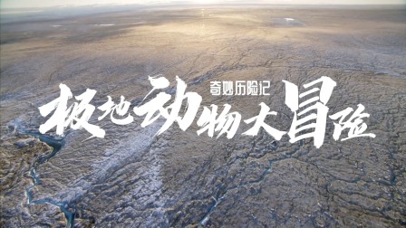 奇妙历险记：极地动物大冒险 1集