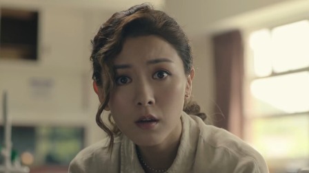 刑侦日记 17集