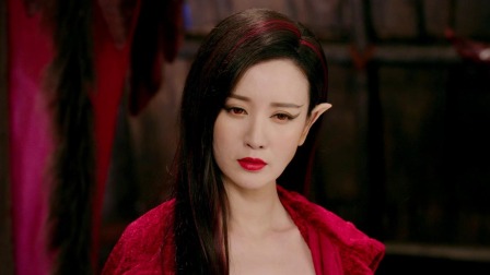 幻城 5集