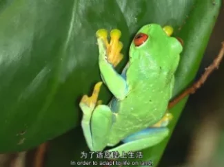少年的第一堂自然课 7集