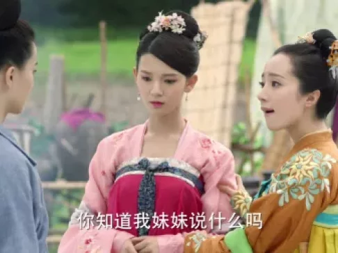 柜中美人 27集