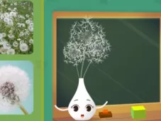田小艾幼儿识字：花朵篇 10集