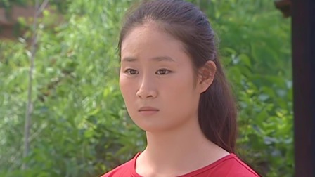 乡村爱情 第1部 12集