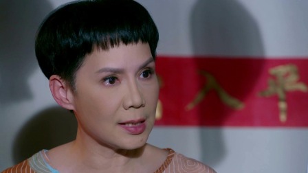 复仇的痕迹 1集
