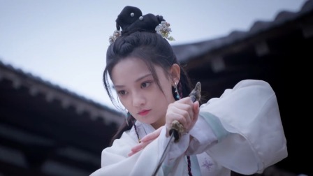聘猫记 21集