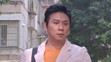 外来媳妇本地郎之湾区一家亲 9集