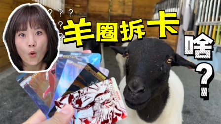 玩不累妈妈玩具拆箱 4集