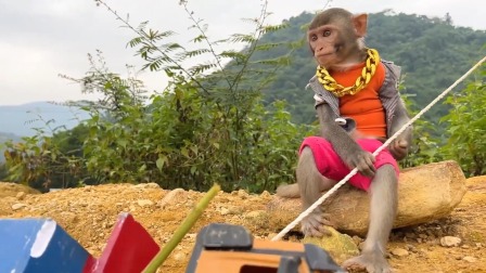小猴子啵啵 第三季 40集