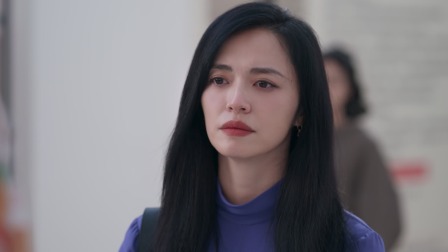 以美之名 13集