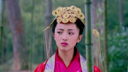 少年杨家将 28集