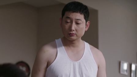 那座城这家人  DVD版 14集