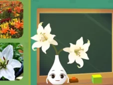 田小艾幼儿识字：花朵篇 4集