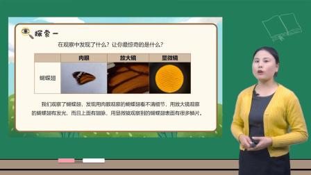 小学科学 教科版六年级上册全册视频课程 5集