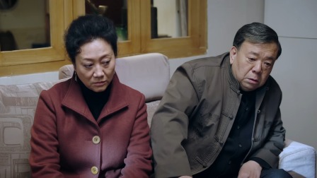 高兴的酸甜苦辣 31集