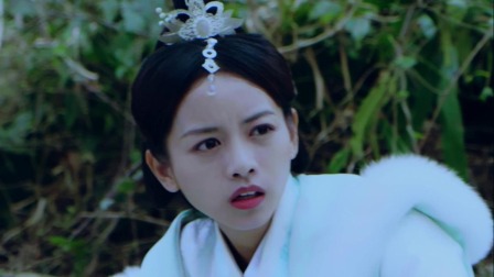 红颜殇 11集