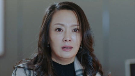 雾中系铃人 18集