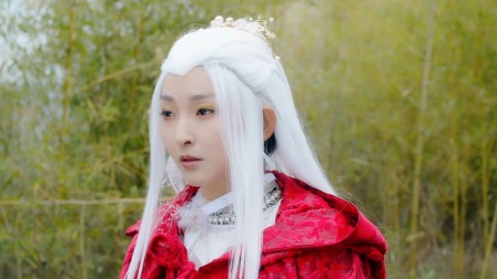 娇妃玉如梦 27集