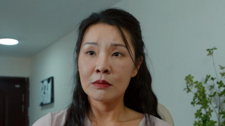 婆婆的秘密 28集