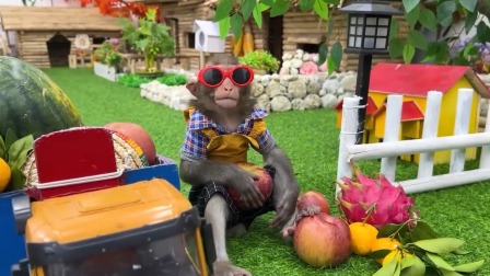 小猴子啵啵 第三季 12集