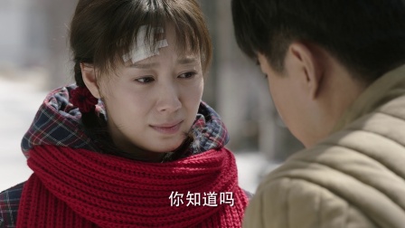 那座城这家人  DVD版 5集