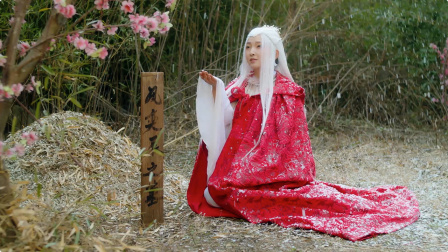 娇妃玉如梦 29集