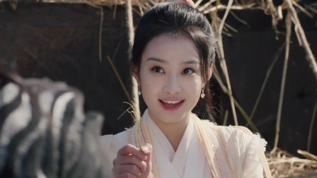 绯闻王妃 8集
