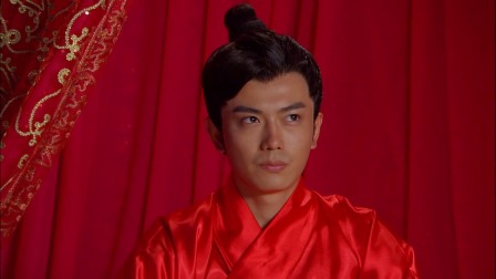 神医传奇 16集