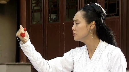 萧十一郎 27集