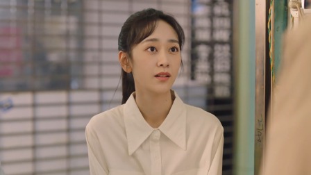 司法所里的故事 17集