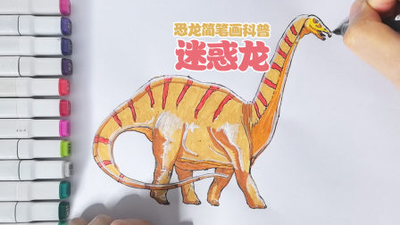 丁丁鸡画恐龙 70集