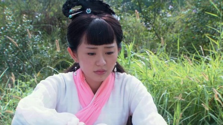 神医大道公前传 33集