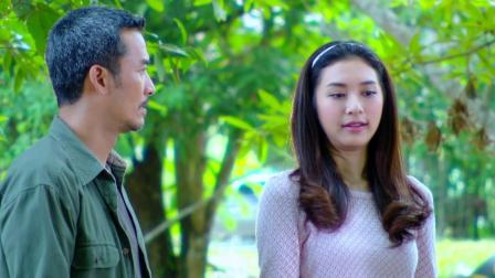 绿野心踪 TV版 39集