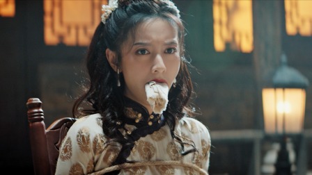 迷情庄园 21集