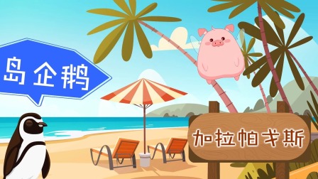 好奇世界百问百答之小型动物观察笔记 10集