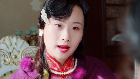 少帅休想逃 15集