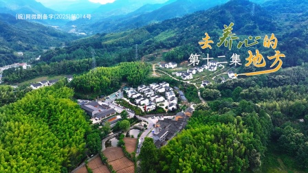 去养心的地方 12集