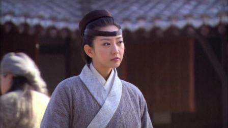 虎符传奇 26集