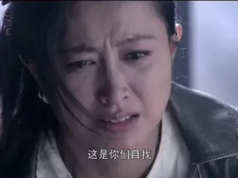 剿匪英雄 33集