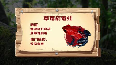 小动物的武林大会 2集