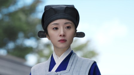 锦囊妙录 22集