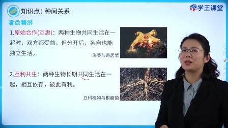 学王课堂 人教版高中生物学选择性必修2（生物与环境） 5集