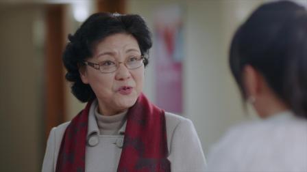 雾中系铃人 28集