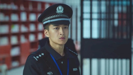 巡回检察组 DVD版 36集