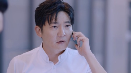 杠杆 13集