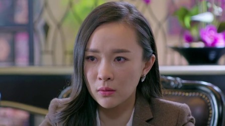 再见，老婆大人 12集