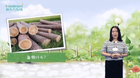 新东方中文精选图书分级阅读 5集