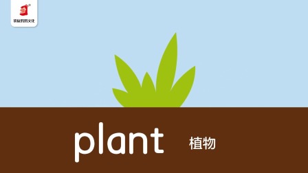 好奇世界：磨耳朵单词课 19集
